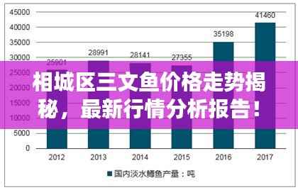 相城区三文鱼价格走势揭秘，最新行情分析报告！