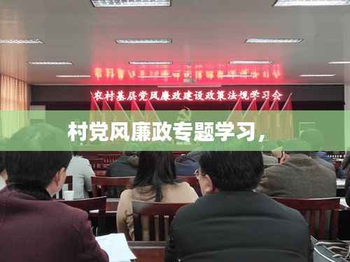 村党风廉政专题学习， 