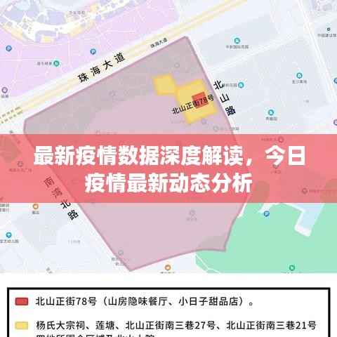 最新疫情数据深度解读,今日疫情最新动态分析