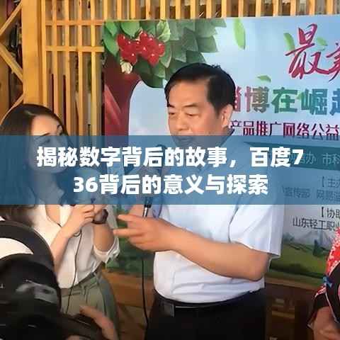 揭秘数字背后的故事,百度736背后的意义与探索
