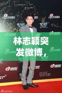 林志颖突发微博,林志颖新浪微博微博