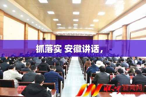 抓落实 安徽讲话， 