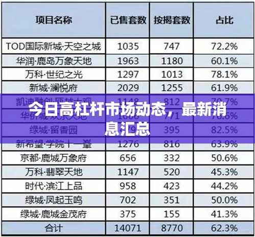 今日高杠杆市场动态,最新消息汇总