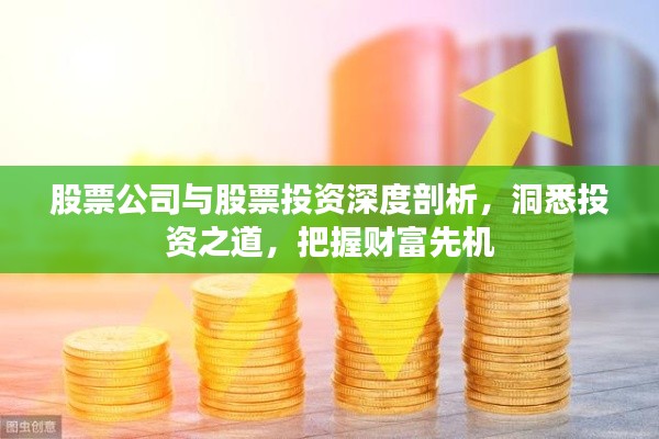 股票公司与股票投资深度剖析,洞悉投资之道,把握财富先机