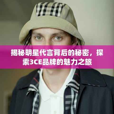 揭秘明星代言背后的秘密，探索3CE品牌的魅力之旅