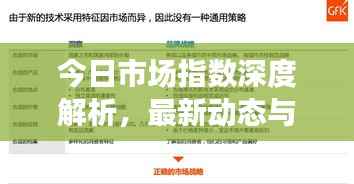 今日市场指数深度解析，最新动态与独到洞察