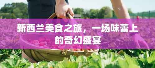 新西兰美食之旅,一场味蕾上的奇幻盛宴