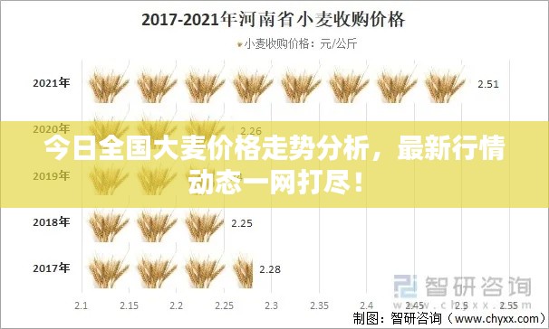 今日全国大麦价格走势分析,最新行情动态一网打尽!