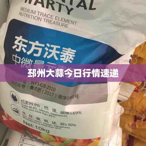 邳州大蒜今日行情速递