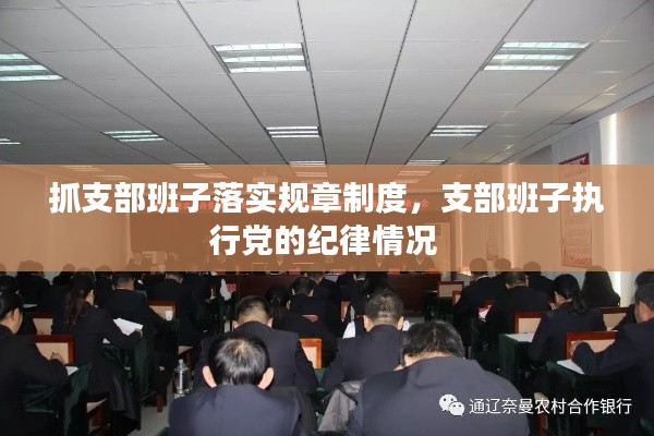 抓支部班子落实规章制度,支部班子执行党的纪律情况