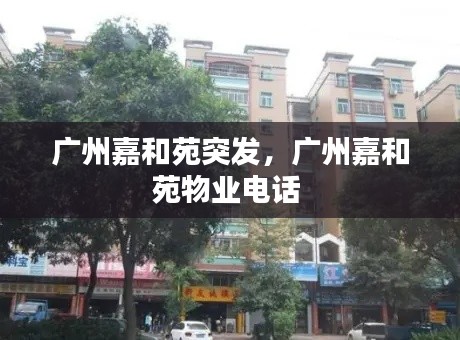 广州嘉和苑突发，广州嘉和苑物业电话 