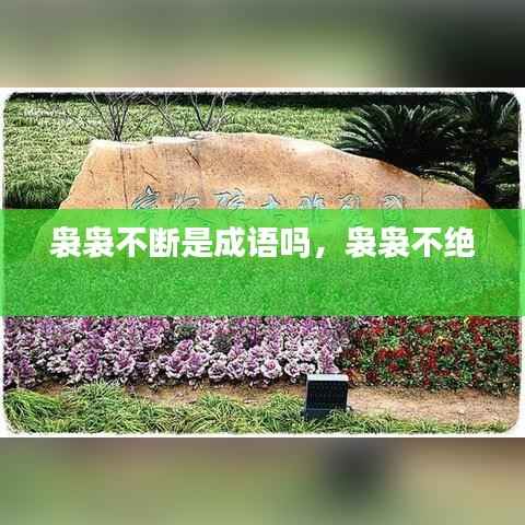 公司概况 第99页