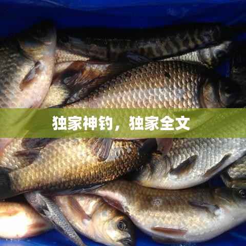 独家神钓，独家全文 