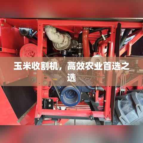 玉米收割机,高效农业首选之选