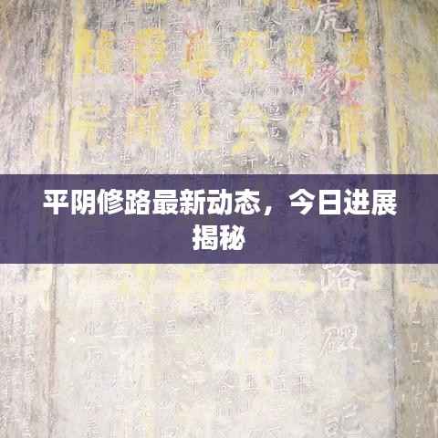 平阴修路最新动态，今日进展揭秘