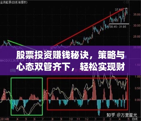 股票投资赚钱秘诀,策略与心态双管齐下,轻松实现财富增值!