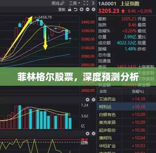 菲林格尔股票,深度预测分析