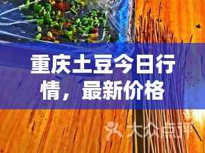 重庆土豆今日行情，最新价格动态一网打尽